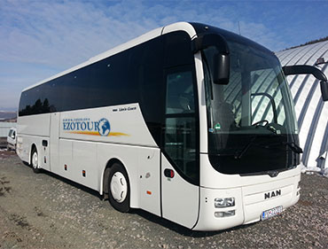 Man Lion's Coach