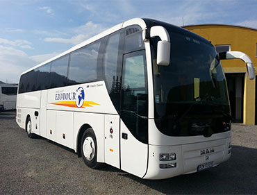 Man Lion's Coach